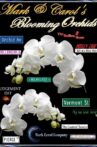 Mark and Carol's Blooming Orchids Movie Streaming Online