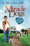Miracle Dogs Movie Streaming Online