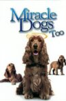 Miracle Dogs Too Movie Streaming Online