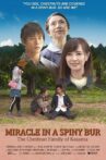 Miracle in Kasama aka Miracle in a Spiny Bur: The Chestnut Family of Kasama Movie Streaming Online
