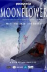 Moonflower Movie Streaming Online