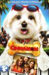 My Dog's Christmas Miracle Movie Streaming Online