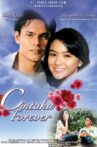 My Love Forever Movie Streaming Online