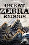 Nature: Great Zebra Exodus Movie Streaming Online