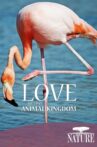 Nature: Love in the Animal Kingdom Movie Streaming Online