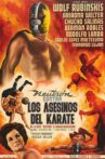 Neutron Battles the Karate Assassins Movie Streaming Online
