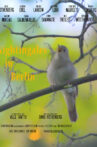 Nightingales in Berlin Movie Streaming Online