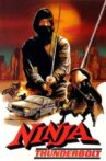 Ninja Thunderbolt Movie Streaming Online