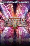 NJPW Wrestle Kingdom 13 Movie Streaming Online