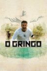 O Gringo Movie Streaming Online