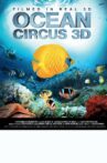 Ocean Circus 3D - Underwater Around the World Movie Streaming Online