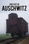 One Day in Auschwitz Movie Streaming Online