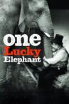 One Lucky Elephant Movie Streaming Online