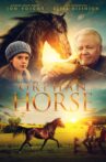 Orphan Horse Movie Streaming Online
