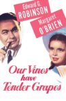 Our Vines Have Tender Grapes Movie Streaming Online