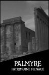 Palmyre, patrimoine menacé Movie Streaming Online