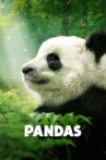 Pandas: The Journey Home Movie Streaming Online