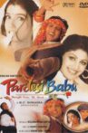 Pardesi Babu Movie Streaming Online