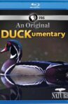 PBS Nature - An Original DUCKumentary Movie Streaming Online