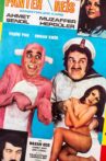 Pembe Panter Gangsterlere Karşı Movie Streaming Online