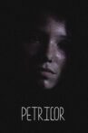 Petricor Movie Streaming Online