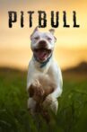 Pitbull Movie Streaming Online