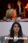 pitta-kathaluTelugu -netflix