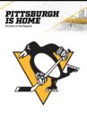 Pittsburgh is Home: The Story of the Penguins Movie Streaming Online
