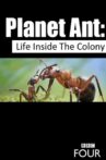 Planet Ant: Life Inside The Colony Movie Streaming Online