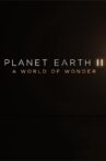 Planet Earth II: A World of Wonder Movie Streaming Online