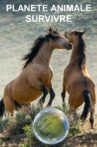 Planète animale 2 : Survivre Movie Streaming Online