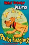 Pluto's Fledgling Movie Streaming Online