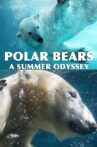 Polar Bears: A Summer Odyssey Movie Streaming Online