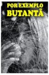 Por Exemplo Butantã Movie Streaming Online