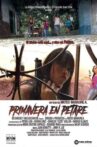 Primavera en Petare Movie Streaming Online