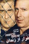 Prison Break Movie Streaming Online