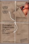 Private Practices: The Story of a Sex Surrogate Movie Streaming Online