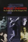 Public Enemies: The Golden Age of the Gangster Film Movie Streaming Online