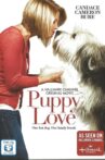 Puppy Love Movie Streaming Online