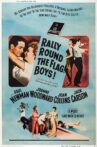 Rally 'Round the Flag, Boys! Movie Streaming Online