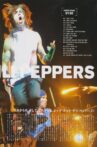 Red Hot Chili Peppers : Live at Fuji Rock Festival 2006 Movie Streaming Online