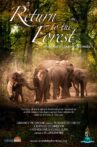 Return to the Forest Movie Streaming Online
