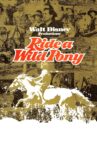 Ride a Wild Pony Movie Streaming Online