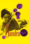 Sandra Movie Streaming Online