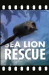 Sea Lion Rescue Movie Streaming Online