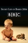 Secret Life of Babies Movie Streaming Online