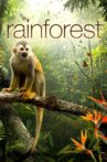 Secret Life of the Rainforest Movie Streaming Online