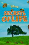 Secrets of Life Movie Streaming Online