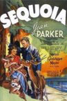 Sequoia Movie Streaming Online