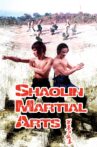 Shaolin Martial Arts Movie Streaming Online